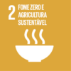 Objetivo 2: Fome Zero e Agricultura Sustentável