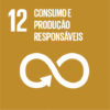 Objetivo 12: Consumo e Produção Responsáveis